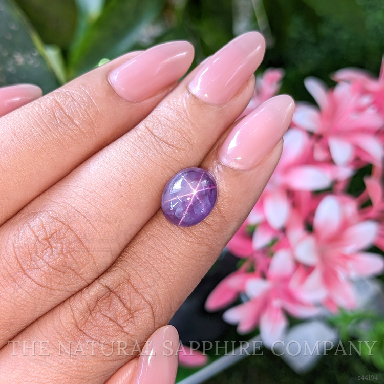 8.88 Ct. Purple Star Sapphire from Ceylon (Sri Lanka)