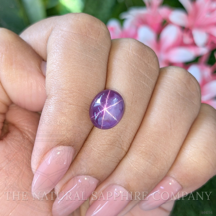 8.88 Ct. Purple Star Sapphire from Ceylon (Sri Lanka)