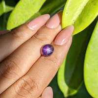 3.75 Ct. Purple Star Sapphire from Ceylon (Sri Lanka) Life Style