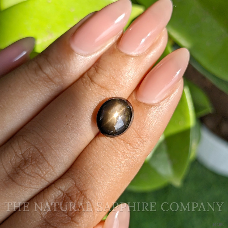 6.36 Ct. Brown Star Sapphire from Ceylon (Sri Lanka)
