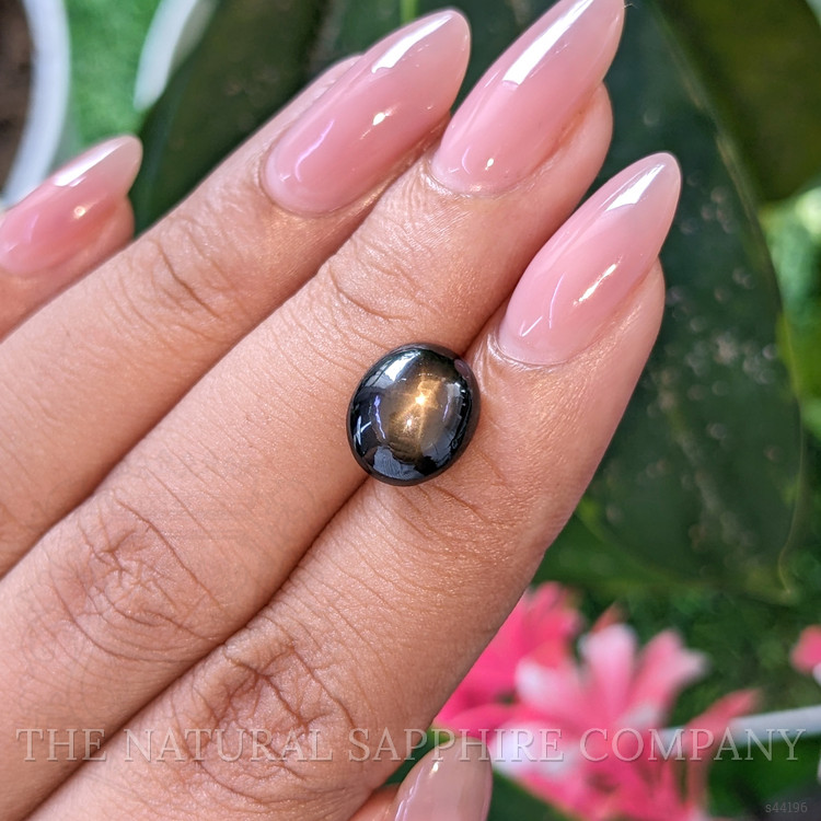 6.36 Ct. Brown Star Sapphire from Ceylon (Sri Lanka)