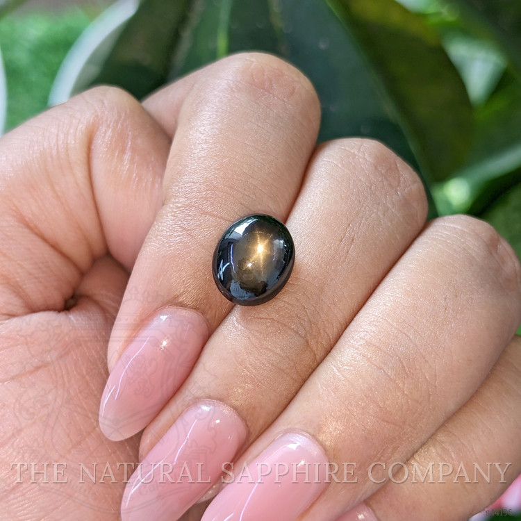 6.36 Ct. Brown Star Sapphire from Ceylon (Sri Lanka)