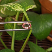 1.36 Ct. Padparadscha Sapphire from Ceylon (Sri Lanka) Life Style
