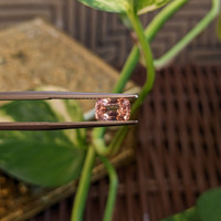 1.29 Ct. Padparadscha Sapphire from Ceylon (Sri Lanka) Life Style