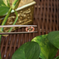 1.00 Ct. Padparadscha Sapphire from Ceylon (Sri Lanka) Life Style