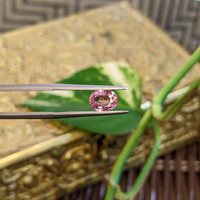 1.35 Ct. Padparadscha Sapphire from Ceylon (Sri Lanka) Life Style