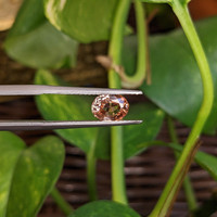 1.18 Ct. Padparadscha Sapphire from Ceylon (Sri Lanka) Life Style