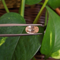 1.89 Ct. Padparadscha Sapphire from Ceylon (Sri Lanka) Life Style