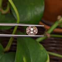 1.97 Ct. Padparadscha Sapphire from Ceylon (Sri Lanka) Life Style