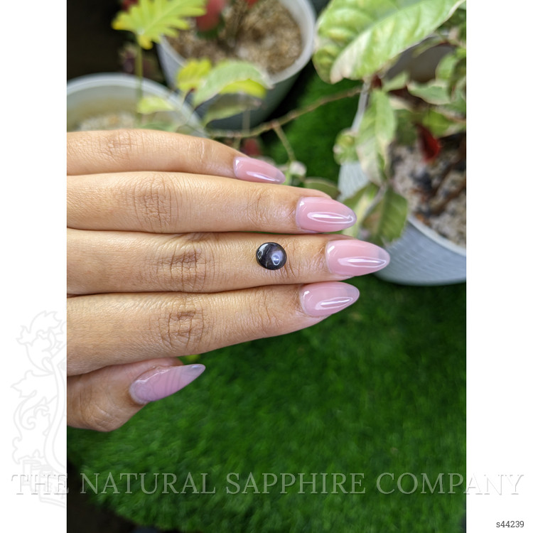 3.86 Ct. Grey Star Sapphire from Ceylon (Sri Lanka)