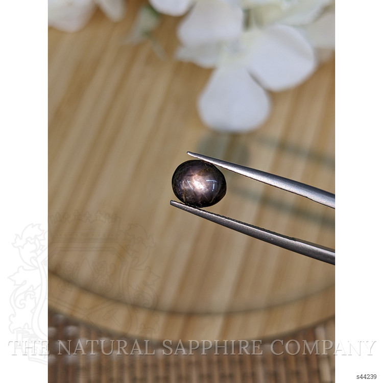 3.86 Ct. Grey Star Sapphire from Ceylon (Sri Lanka)