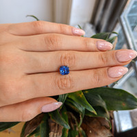 3.10 Ct. Blue Sapphire from Ceylon (Sri Lanka) Life Style