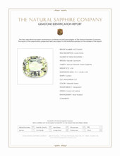4.04 Ct. Yellowish Green Sapphire from Ceylon (Sri Lanka) Scan Report