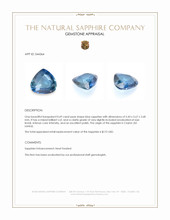 0.69 Ct. Blue Sapphire from Ceylon (Sri Lanka) Appraisal