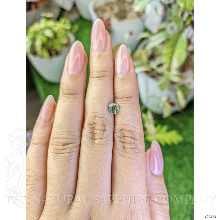 0.85 Ct. Yellowish Green Sapphire from Ceylon (Sri Lanka)