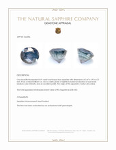 0.91 Ct. Blue Sapphire from Ceylon (Sri Lanka) Appraisal