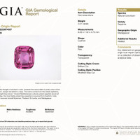 3.01 Ct. Pink Sapphire from Madagascar Pdf