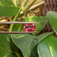 3.01 Ct. Pink Sapphire from Ceylon (Sri Lanka) Life Style