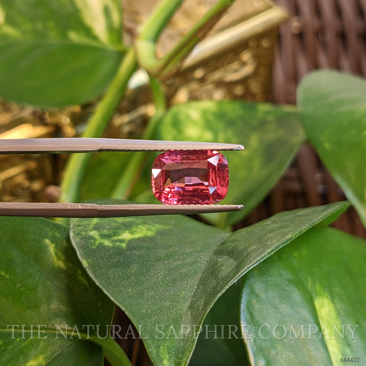 3.01 Ct. Pink Sapphire from Ceylon (Sri Lanka)