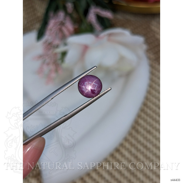 5.11 Ct. Purple Star Sapphire from Ceylon (Sri Lanka)