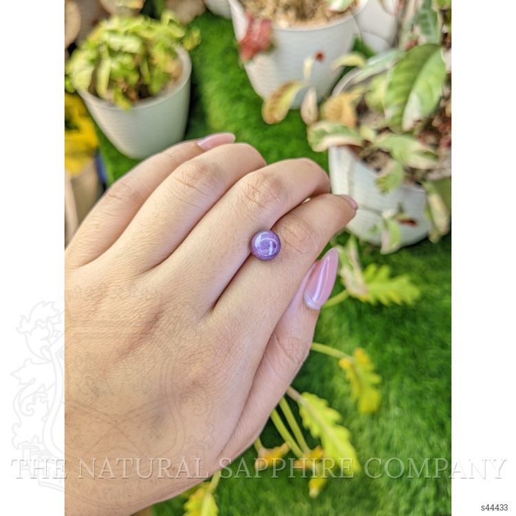 5.11 Ct. Purple Star Sapphire from Ceylon (Sri Lanka)
