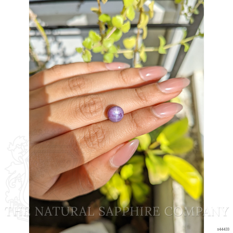5.11 Ct. Purple Star Sapphire from Ceylon (Sri Lanka)