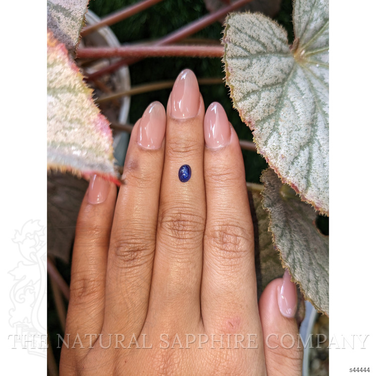 0.97 Ct. Blue Star Sapphire from Ceylon (Sri Lanka)