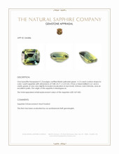 4.13 Ct. Bi Color / Parti Sapphire from Madagascar Appraisal
