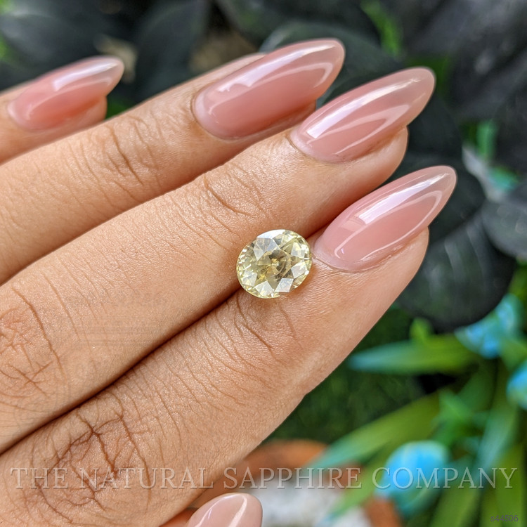 2.48 Ct. Yellow Sapphire from Ceylon (Sri Lanka)