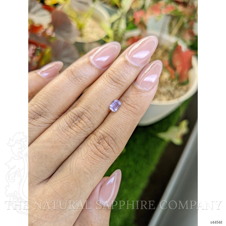 0.52 Ct. Purple Sapphire from Ceylon (Sri Lanka)