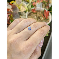 0.48 Ct. Blue Sapphire from Ceylon (Sri Lanka) Life Style