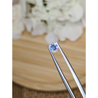 0.48 Ct. Blue Sapphire from Ceylon (Sri Lanka) Life Style