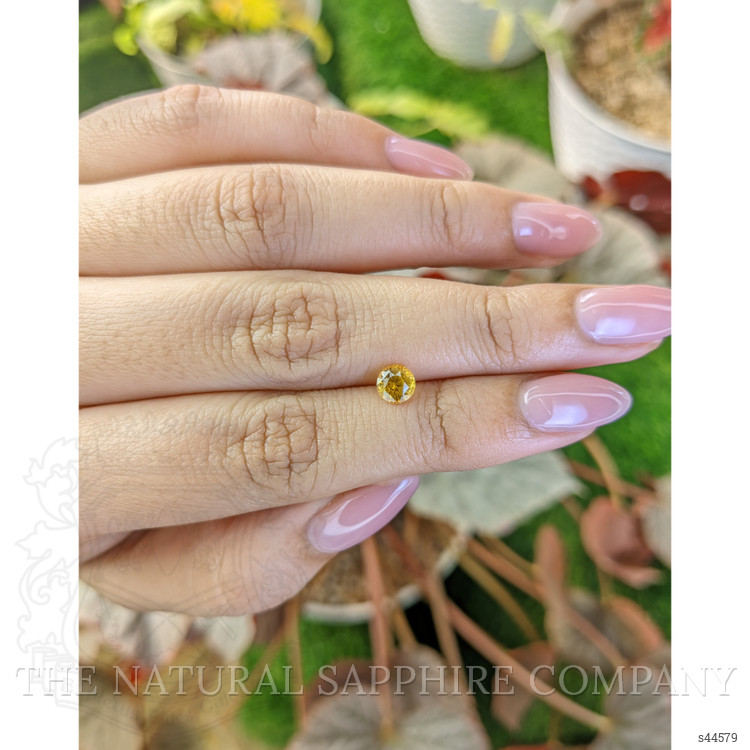 0.68 Ct. Yellow Sapphire from Ceylon (Sri Lanka)