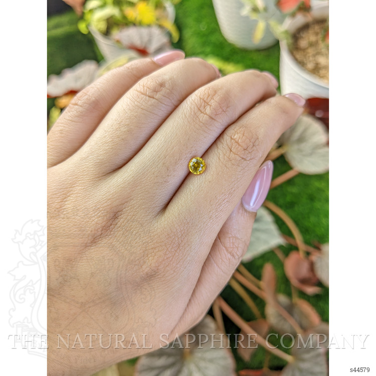 0.68 Ct. Yellow Sapphire from Ceylon (Sri Lanka)