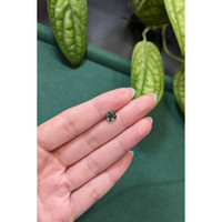 1.33 Ct. Bluish Green Sapphire from Madagascar Life Style