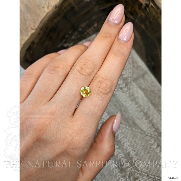 2.52 Ct. Yellow Sapphire from Ceylon (Sri Lanka)