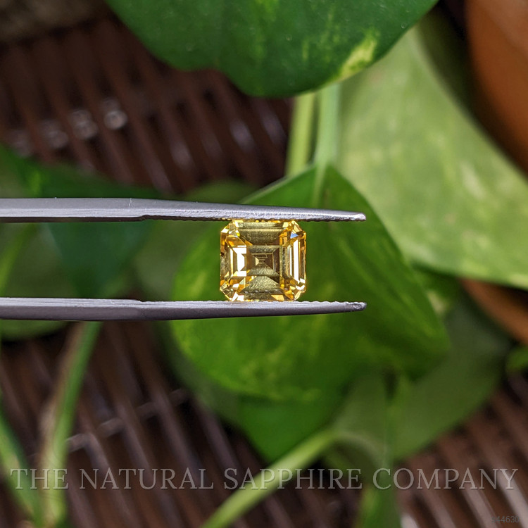 2.52 Ct. Yellow Sapphire from Ceylon (Sri Lanka)