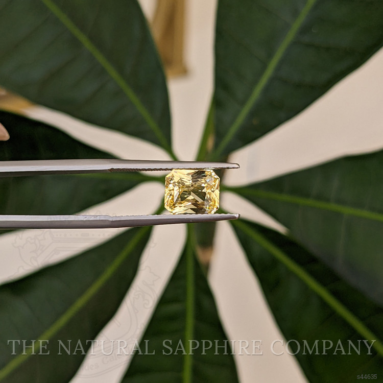 2.67 Ct. Yellow Sapphire from Ceylon (Sri Lanka)
