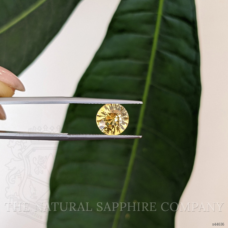 2.78 Ct. Yellow Sapphire from Ceylon (Sri Lanka)