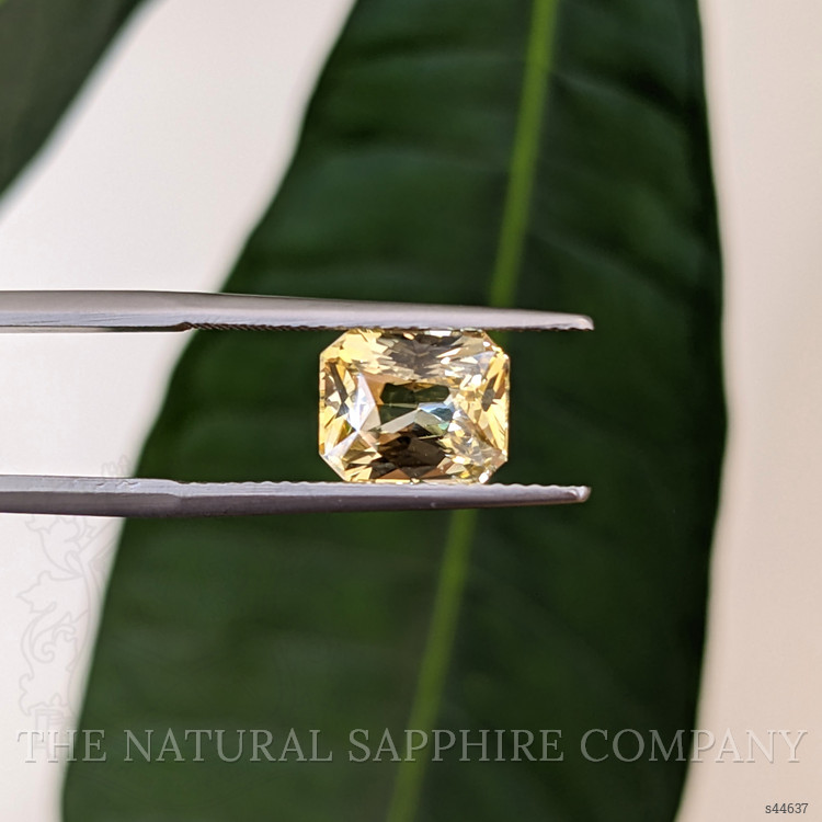 3.00 Ct. Yellow Sapphire from Ceylon (Sri Lanka)