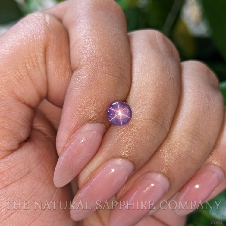 1.69 Ct. Purple Star Sapphire from Ceylon (Sri Lanka)
