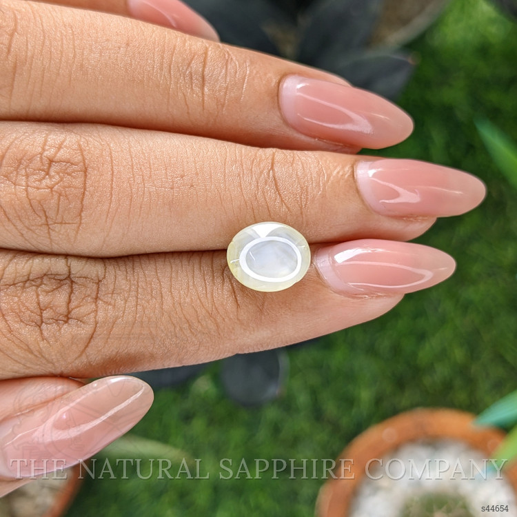 6.02 Ct. Yellow Star Sapphire from Ceylon (Sri Lanka)