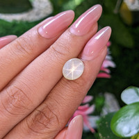 6.02 Ct. Yellow Star Sapphire from Ceylon (Sri Lanka) Life Style