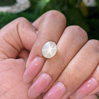 6.02 Ct. Yellow Star Sapphire from Ceylon (Sri Lanka) Life Style
