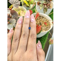 0.73 Ct. Blue Sapphire from Madagascar Life Style