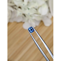 0.73 Ct. Blue Sapphire from Madagascar Life Style