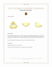 1.01 Ct. Yellow Sapphire from Ceylon (Sri Lanka) Appraisal