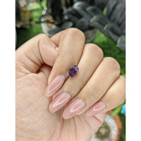 1.76 Ct. Purple Sapphire from Ceylon (Sri Lanka) Life Style