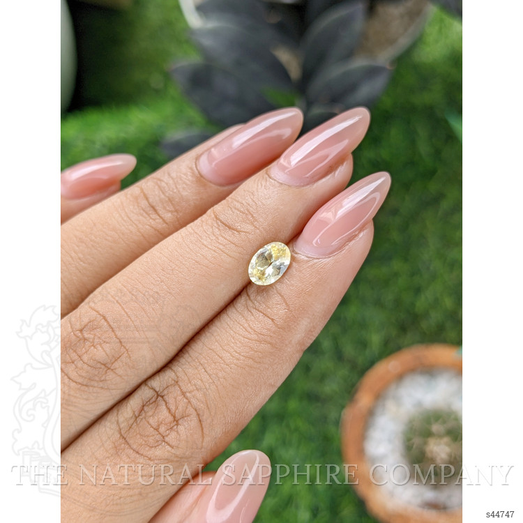 1.00 Ct. Yellow Sapphire from Ceylon (Sri Lanka)