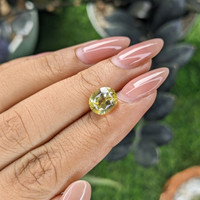 3.56 Ct. Yellow Sapphire from Tanzania Life Style